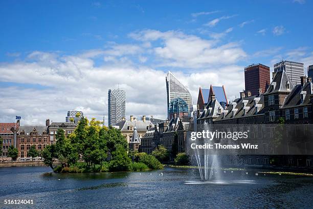 binnenhof palace - hague - fotografias e filmes do acervo