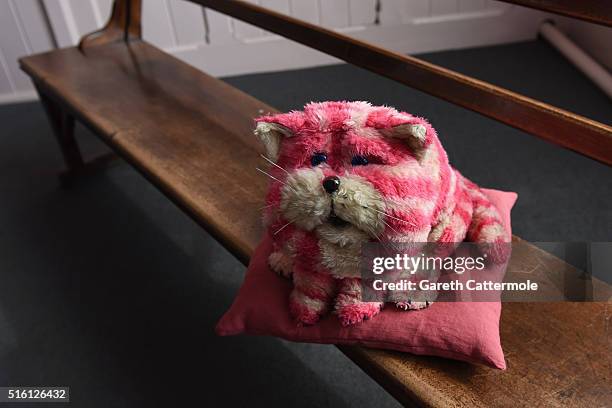 General view of the original Bagpuss during a photocall for the Bagpuss And The Clangers Retrospective Of Smallfilms at the V&A Museum Of Childhood...