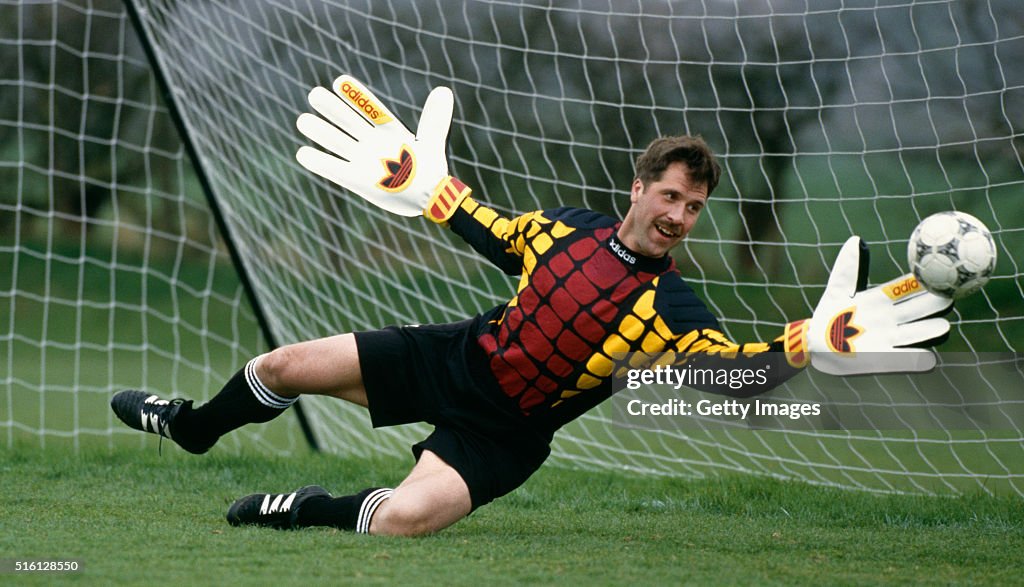 David Seaman Arsenal goalkeeper