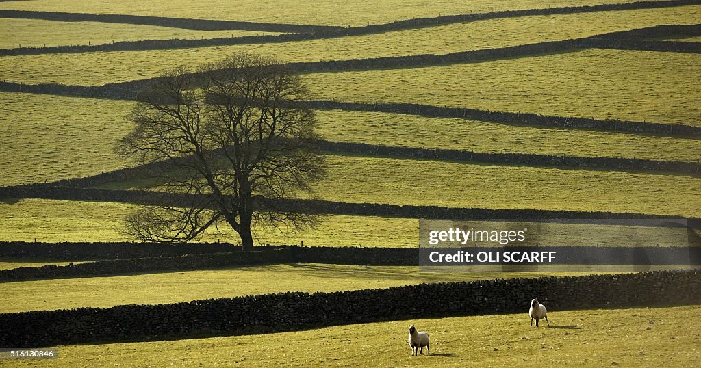 BRITAIN-OFFBEAT