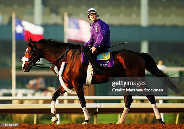 Tom Kurthy 27 Magistretti Stock Photos, High-Res Pictures, and Images - Getty Images