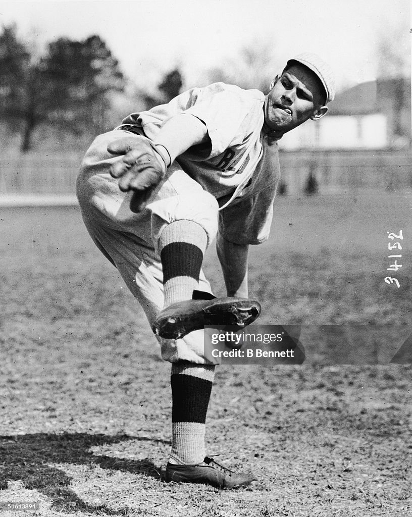 Leonard Pitches