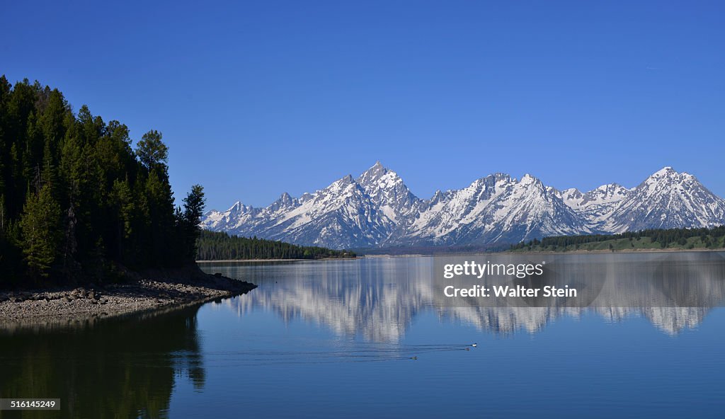 Jackson Lake - Grand Teton Park