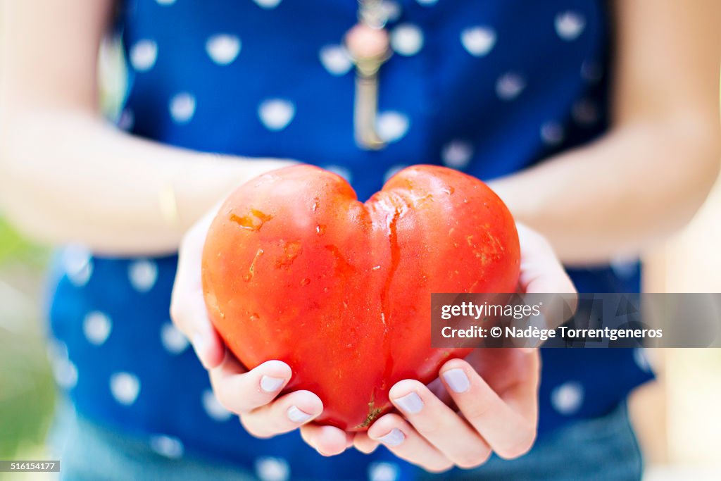 Heart shaped tomato