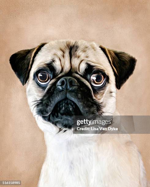 ilustraciones, imágenes clip art, dibujos animados e iconos de stock de painted pug - cuadro al óleo