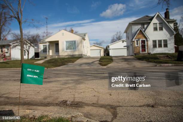 City of Flint Sewer Dept. Marker flag waves in the wind on a block where lead water lines have started to be replaced on March 17, 2016 in Flint,...