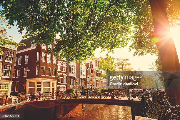 bridge in amsterdam, netherlands - amsterdam stock pictures, royalty-free photos & images