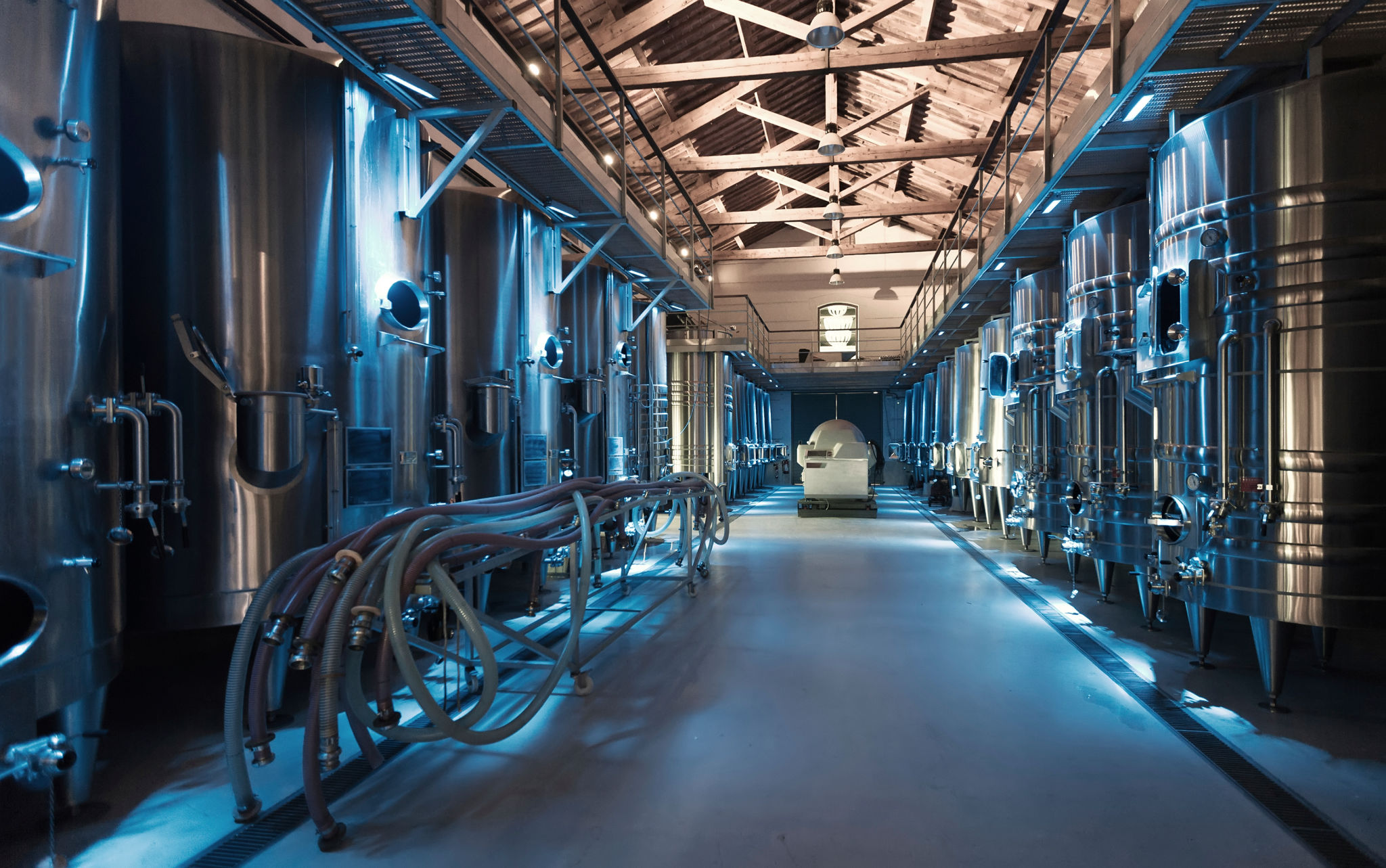 winemaking process