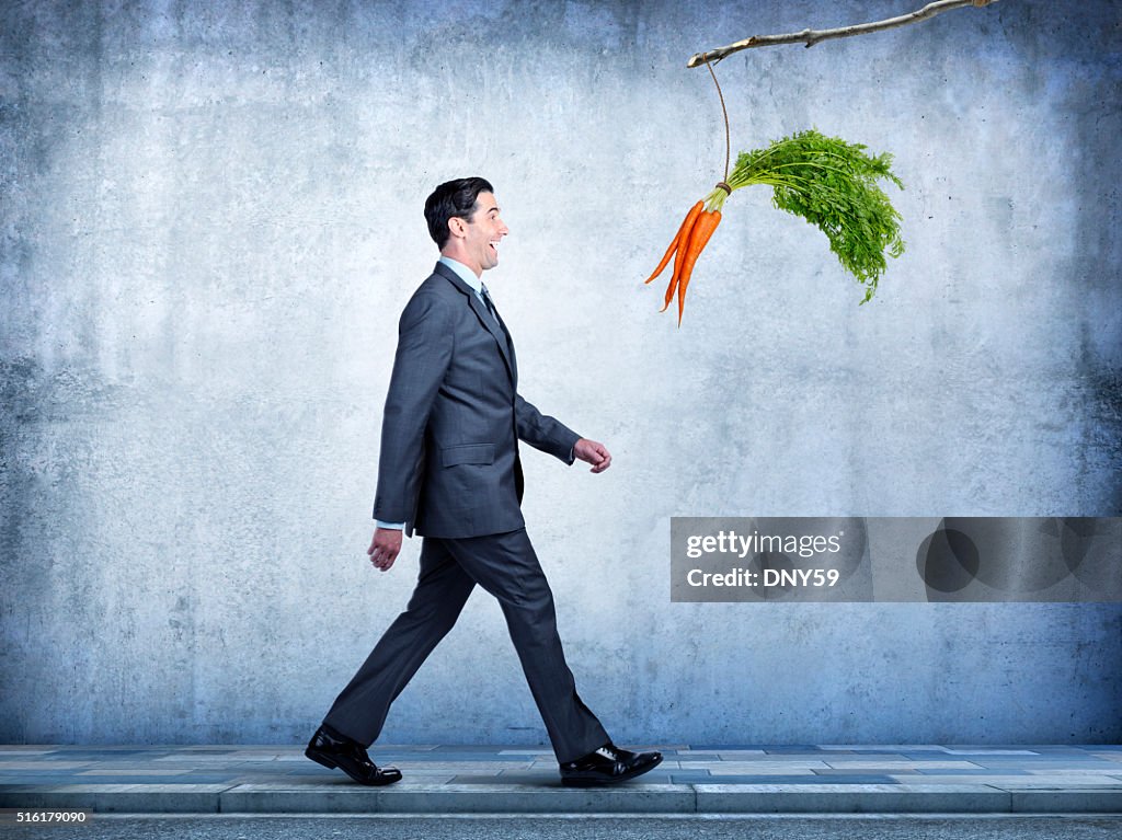 Businessman Follows Carrots Dangling From A Stick