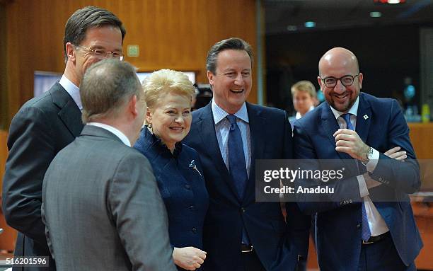 Belgian Prime Minister Charles Michel, British Prime Minister David Cameron and Lithuanian President Dalia Grybauskaite talk together on the first...