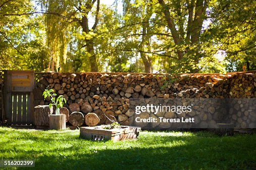 Firewood stack on yard Firewood stack on yard