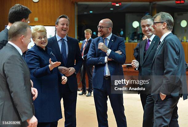 Estonian Prime Minister Taavi Roivas, Belgian Prime Minister Charles Michel, British Prime Minister David Cameron, Lithuanian President Dalia...