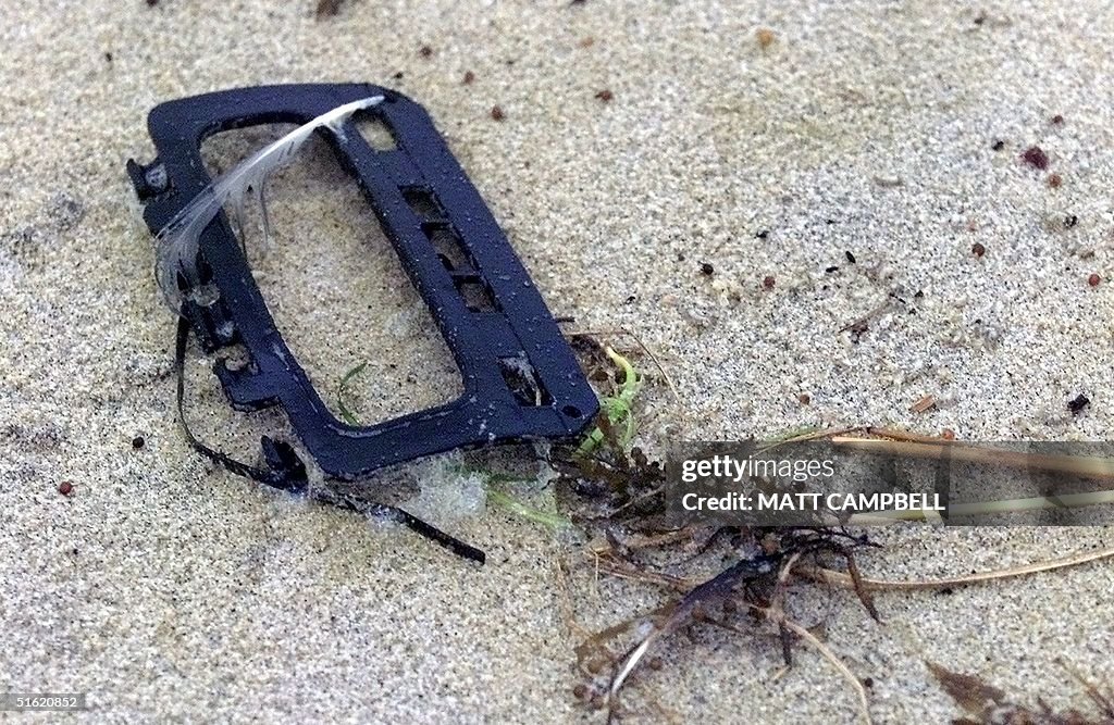 Flight 990 A possible piece of debris from EgyptAir flight 990 sits in the sand ...