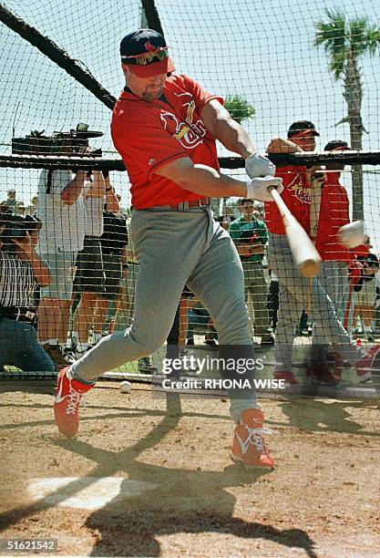 St. Louis Cardinals first baseman Mark McGwire takes batting practice during the first day of full squad workouts at the Cardinals' spring traing...