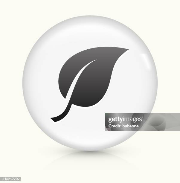 one leaf icon on white round vector button - photosynthesis stock illustrations