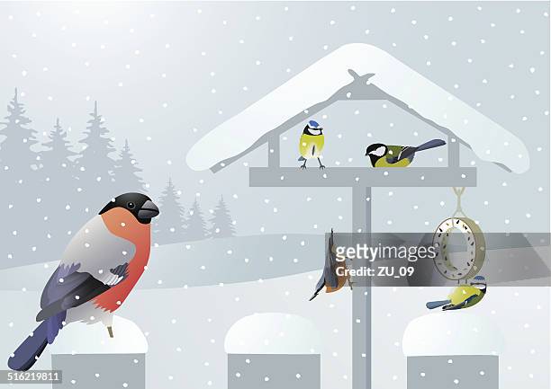 illustrazioni stock, clip art, cartoni animati e icone di tendenza di uccelli in inverno su una casetta per uccelli - picchio muratore europeo