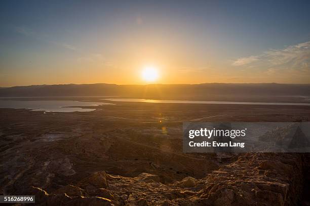 sunrise over the dead sea - dead camel stock pictures, royalty-free photos & images