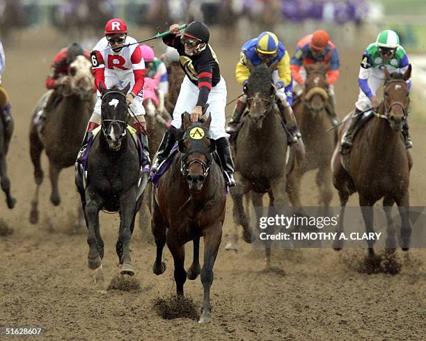 Jockey Javier Castellano on Ghostzapper crosses the finish line to win the 4 million-dollar Classic Race during the 2004 Breeders Cup World...