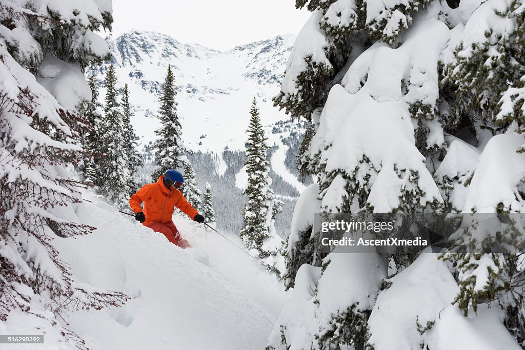 Powder skiing in the trees