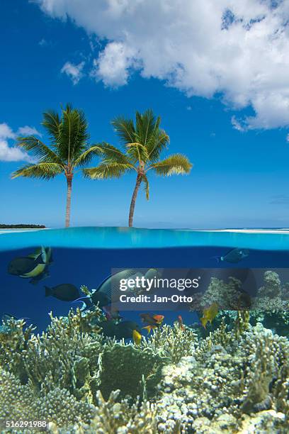tropical island with coral reef - isole mauritius stock pictures, royalty-free photos & images