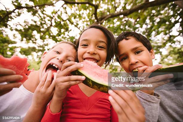 children on a wooden fence eating watermelon on summer day - child eating a fruit stockfoto's en -beelden