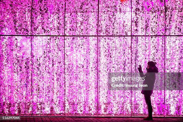 young woman enjoying led illuminated wall - led wall stock-fotos und bilder