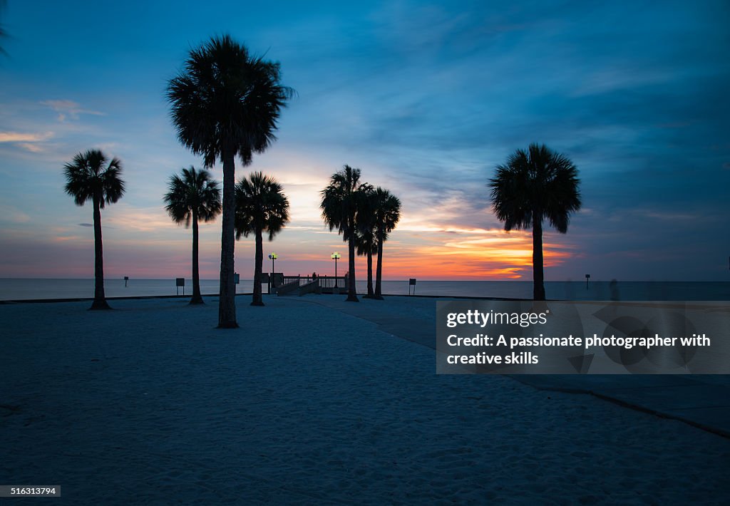 Florida Beach Scene