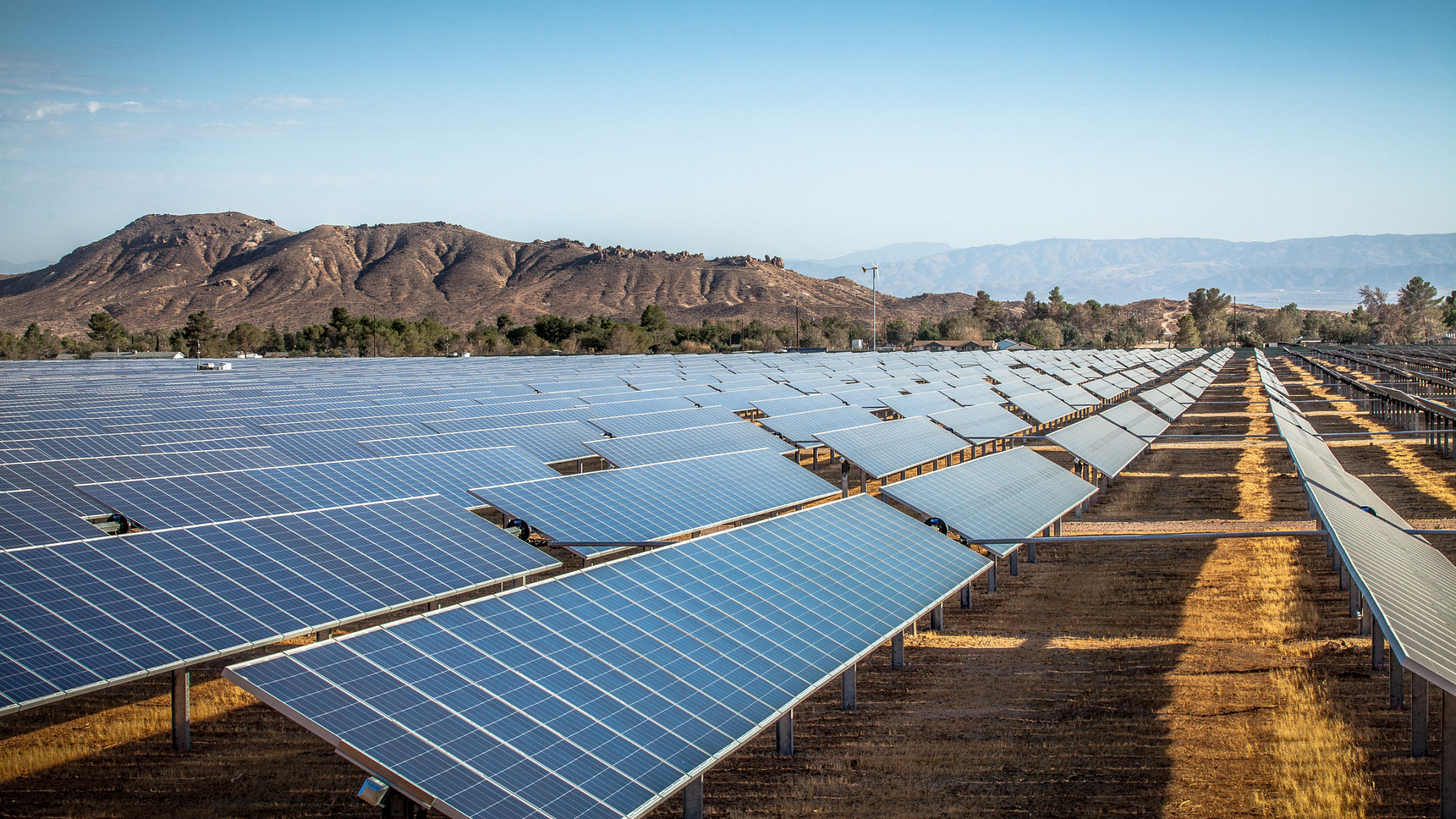 desert solar farm