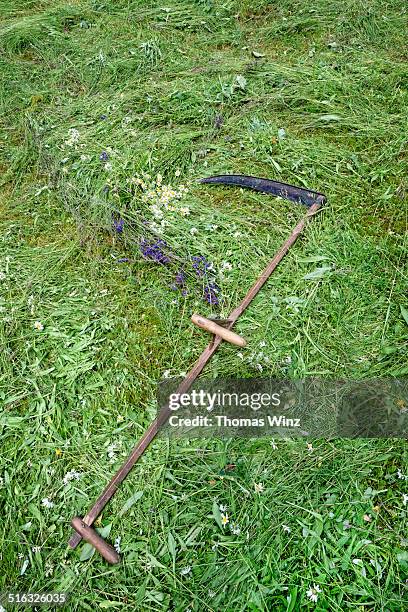 cutting grass with a scythe - gras sense stock-fotos und bilder