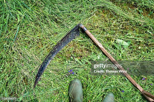 cutting grass with a scythe - gras sense stock-fotos und bilder