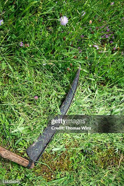 cutting grass with a scythe - sense stock-fotos und bilder