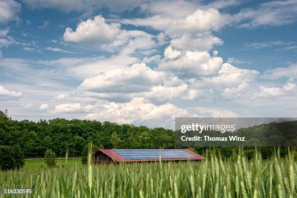 solar panels on a barn in a rye field - landwirtschaft deutschland stock-fotos und bilder