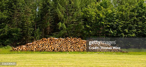 wood pile at the edge of a forest - forestry industry stock pictures, royalty-free photos & images
