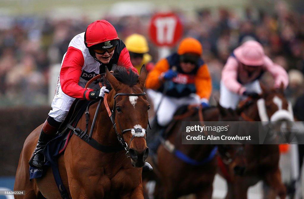 Cheltenham Festival - Gold Cup Day