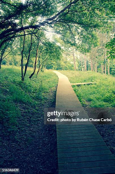150 Chase Promenade Stock Photos, HighRes Pictures, and Images Getty