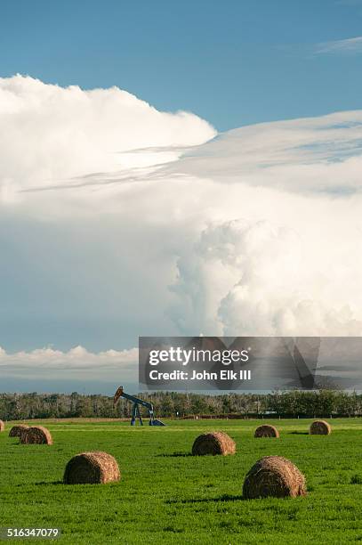 north alberta farmland with hay bales - alberta farm scene stock pictures, royalty-free photos & images