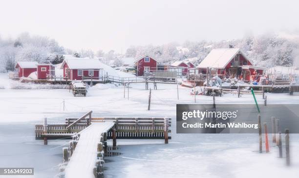 swedish coastal winter - förtöjd bildbanksfoton och bilder