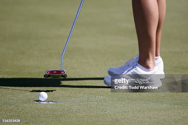 Amy Anderson putts on the 8th green during the second round of the LPGA JTBC Founders Cup at Wildfire Golf Club on March 18, 2016 in Phoenix, Arizona.