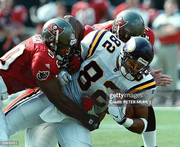 Minnesota Vikings player Andrew Glover holds on to the ball after catching a pass for a 30-yard gain 01 November from Vikings quarterback Randall...