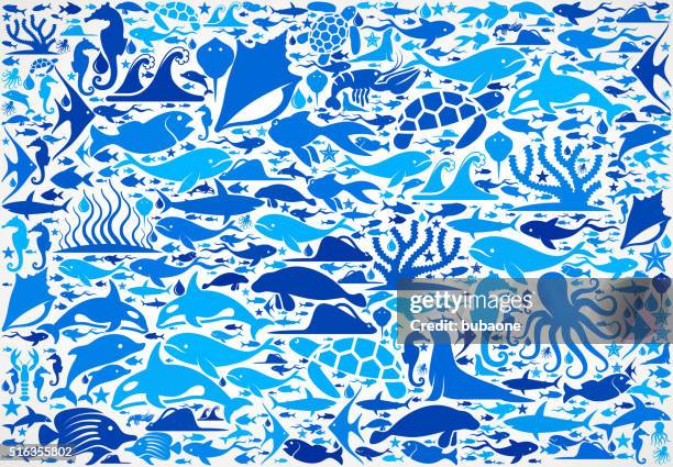 ocean and marine life blue icon pattern - sea lion stock illustrations