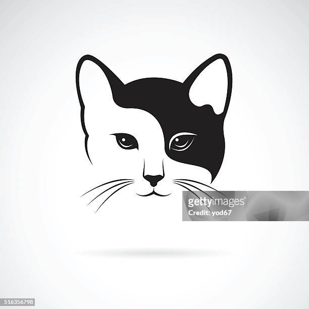 sustracción Engañoso chocar Vector De De La Imagen De La Cara De Un Gato Diseño Ilustración de stock -  Getty Images