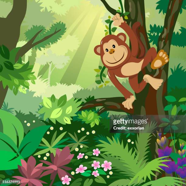 bildbanksillustrationer, clip art samt tecknat material och ikoner med monkey in the forest - tree log