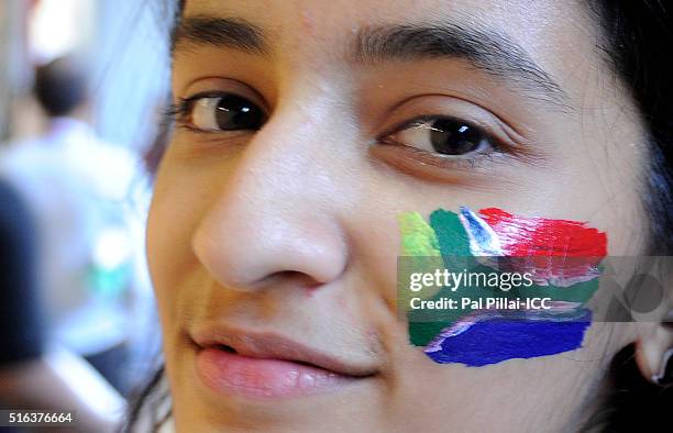 Mumbai, INDIA South African supporter during the ICC World Twenty20 India 2016 match between South Africa and England at the Wankhede stadium on...