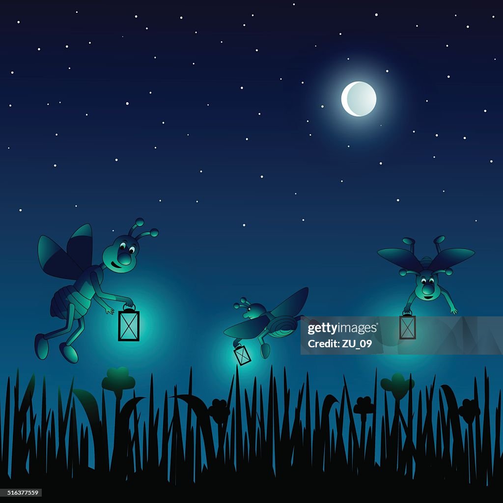 Cartoon Fireflies On A Meadow In A Summernight High-Res Vector Graphic -  Getty Images