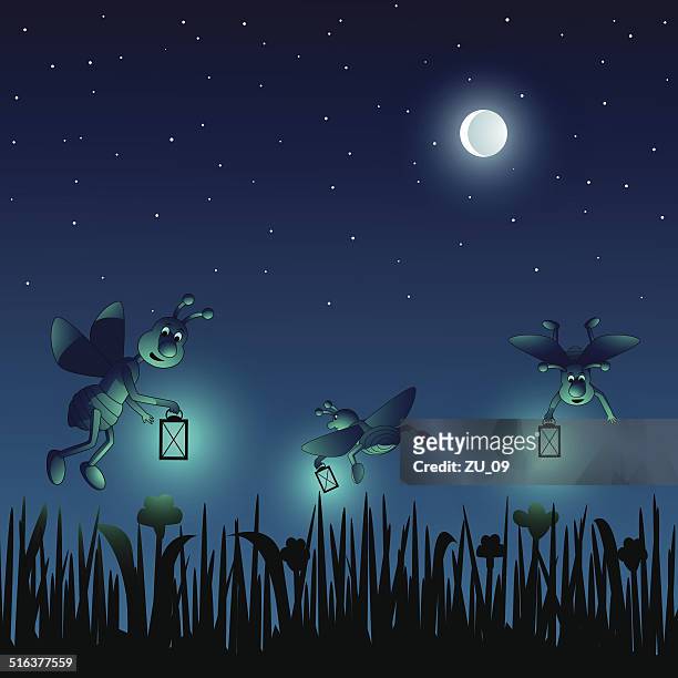 cartoon fireflies on a meadow in a summernight - firefly stock illustrations