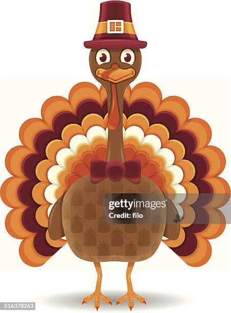 ilustraciones, imágenes clip art, dibujos animados e iconos de stock de thanksgiving turkey - peregrino