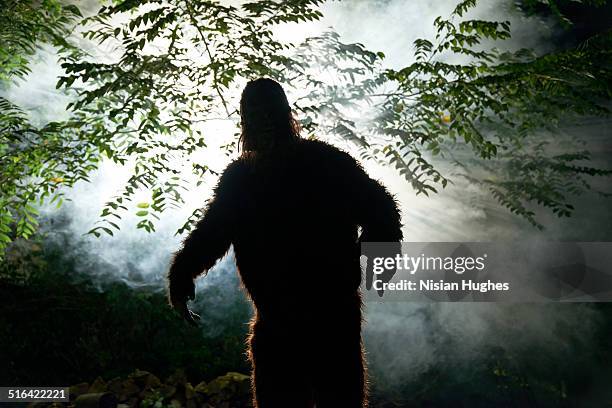 sasquatch or big foot in forest - bigfoot photos et images de collection