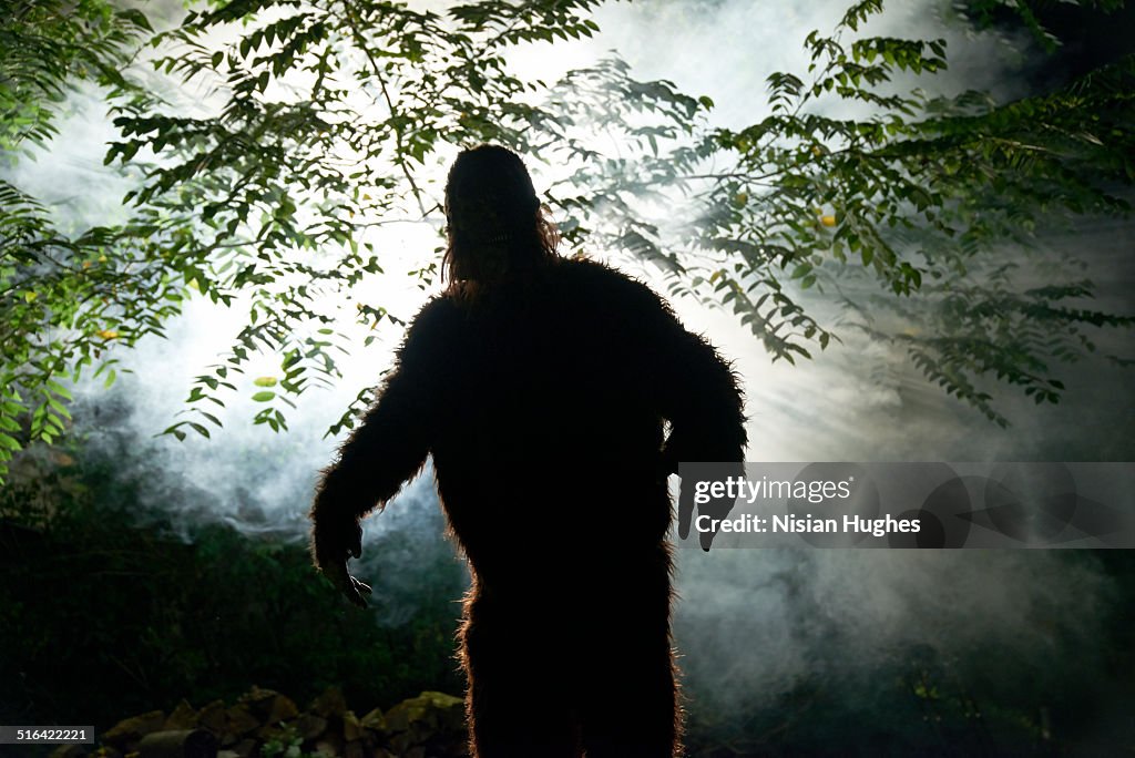 Sasquatch or big foot in forest