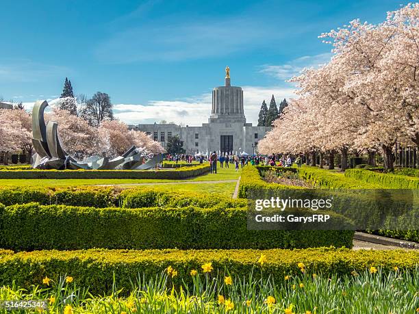 flor de cereza día capitolio estatal de oregón centro comercial vista al capitolio - salem oregon fotografías e imágenes de stock