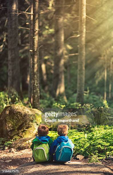 brothers hiking and resting in a forest. - love on the rocks stock pictures, royalty-free photos & images